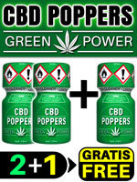2 + 1 GREEN POWER small