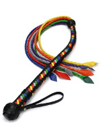 Rainbow Whip