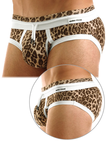 Safari Brief