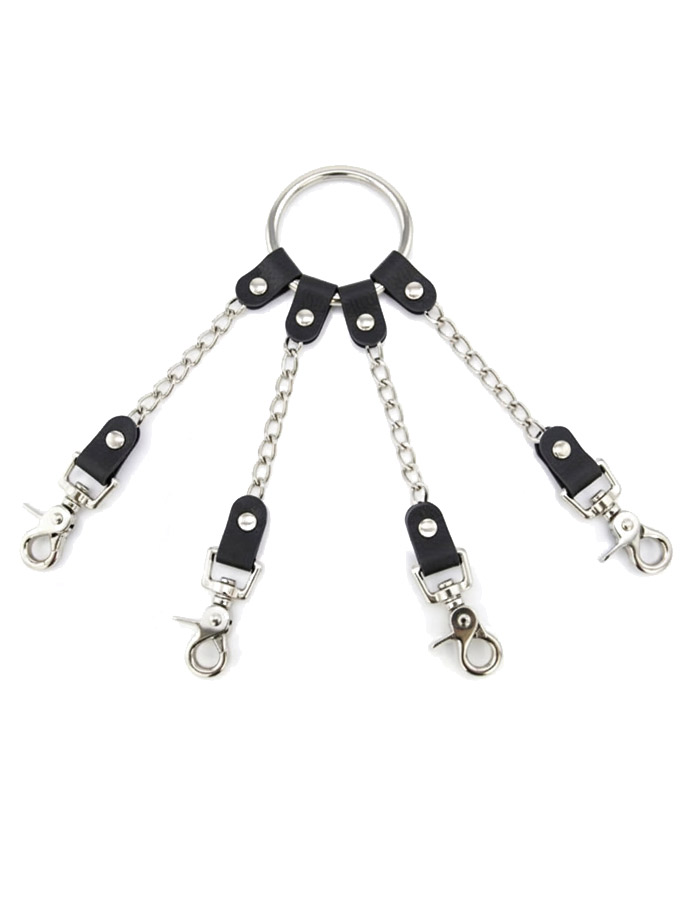 Multiple Connector Carabiner