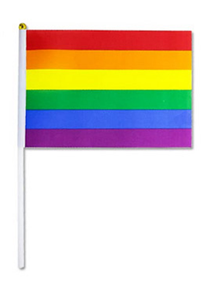 Pride Flag small