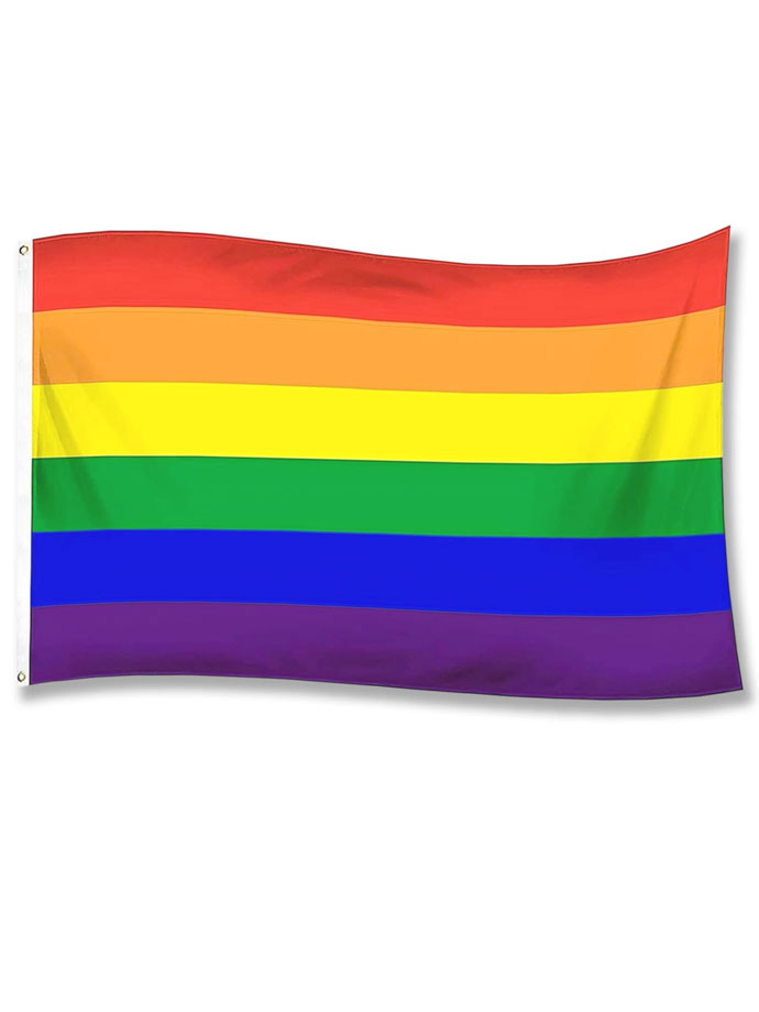 Pride Flag large