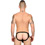 MASSIVE Python Mesh Frame Jock