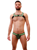 Harness Lifu - Schwarz/Neongelb/Royal