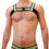 Harness Lifu - Schwarz/Neongelb/Royal