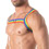 Rainbow Chest Harness