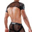 Spartacus Full Harness