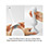 Tenga - Flex Silky White